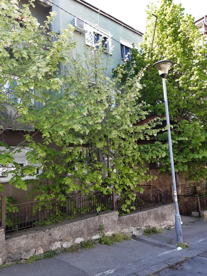 Victor Residence Belgrad Zewnętrze zdjęcie